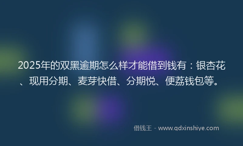 2025年的双黑逾期怎么样才能借到钱有：银杏花、现用分期、麦芽快借、分期悦、便荔钱包等。