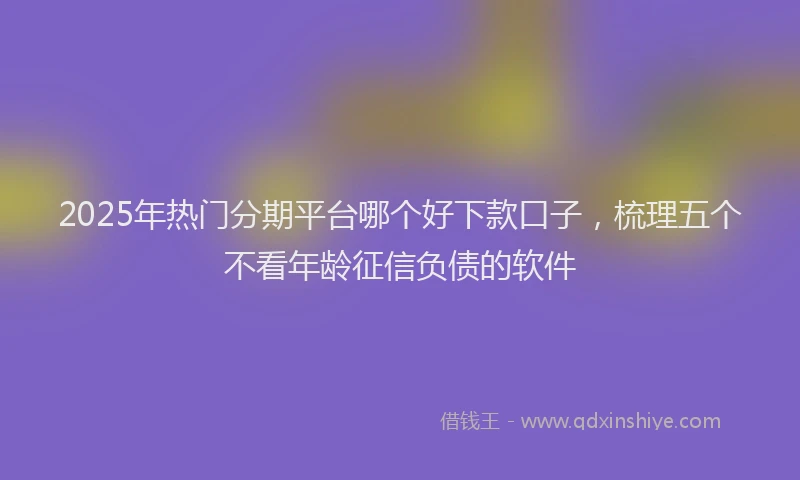2025年热门分期平台哪个好下款口子，梳理五个不看年龄征信负债的软件