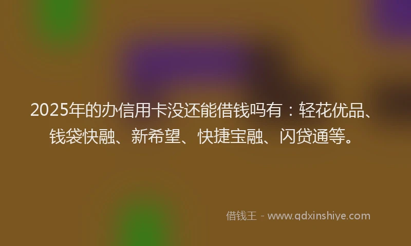 2025年的办信用卡没还能借钱吗有：轻花优品、钱袋快融、新希望、快捷宝融、闪贷通等。