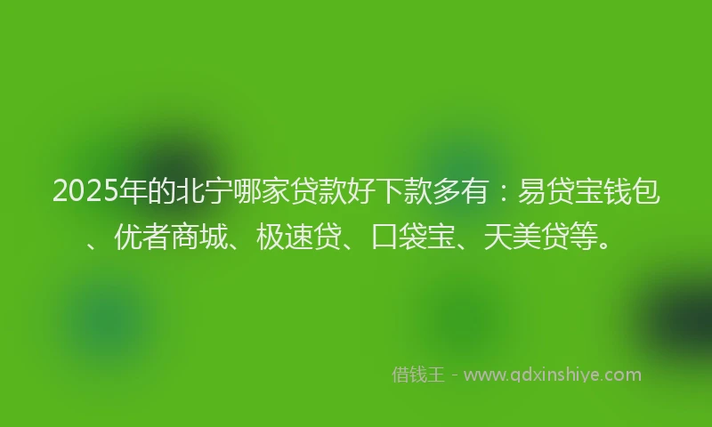 2025年的北宁哪家贷款好下款多有：易贷宝钱包、优者商城、极速贷、口袋宝、天美贷等。