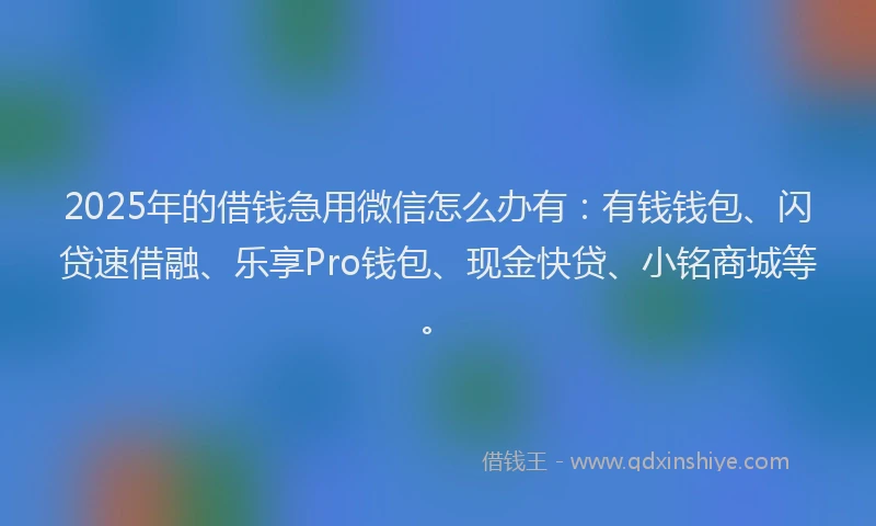 2025年的借钱急用微信怎么办有：有钱钱包、闪贷速借融、乐享Pro钱包、现金快贷、小铭商城等。