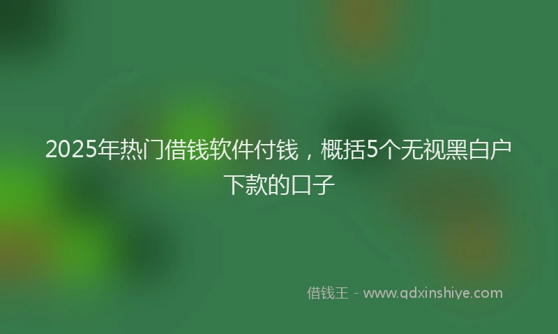 2025年热门借钱软件付钱，概括5个无视黑白户下款的口子