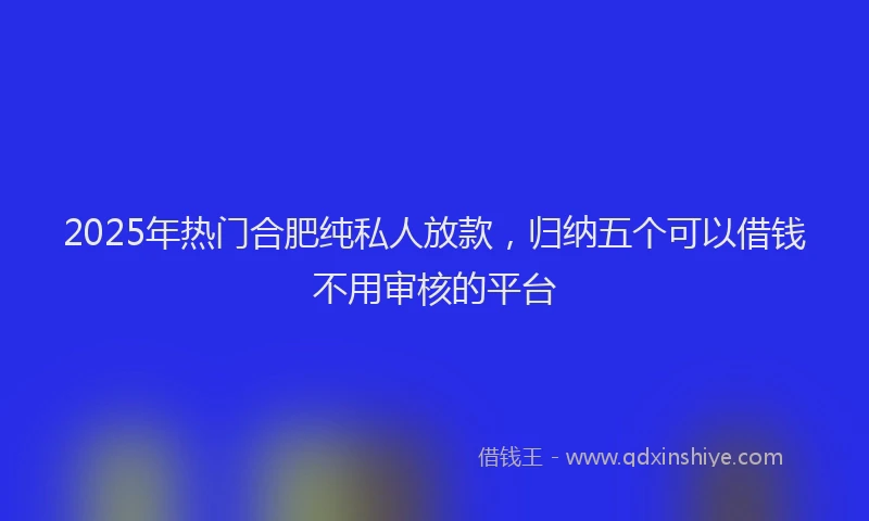 2025年热门合肥纯私人放款，归纳五个可以借钱不用审核的平台