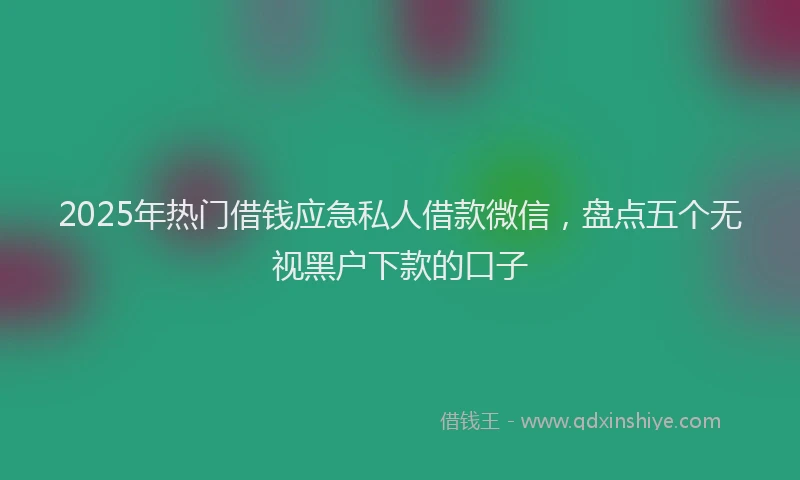 2025年热门借钱应急私人借款微信，盘点五个无视黑户下款的口子