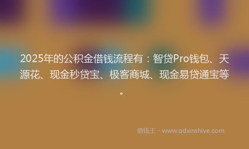 2025年的公积金借钱流程有：智贷Pro钱包、天源花、现金秒贷宝、极客商城、现金易贷通宝等。
