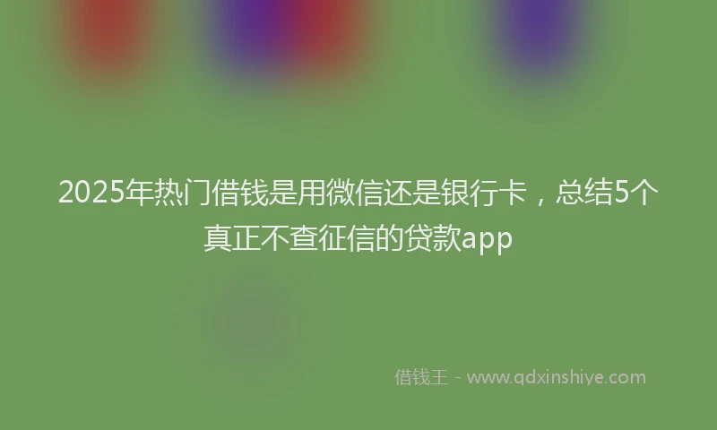 2025年热门借钱是用微信还是银行卡，总结5个真正不查征信的贷款app