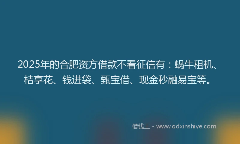 2025年的合肥资方借款不看征信有：蜗牛租机、桔享花、钱进袋、甄宝借、现金秒融易宝等。
