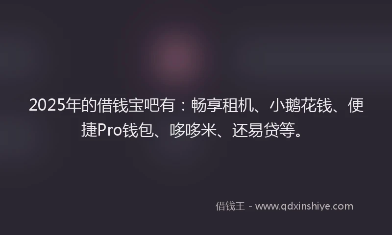 2025年的借钱宝吧有：畅享租机、小鹅花钱、便捷Pro钱包、哆哆米、还易贷等。