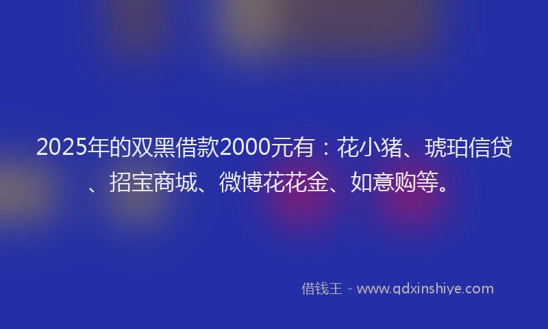 2025年的双黑借款2000元有：花小猪、琥珀信贷、招宝商城、微博花花金、如意购等。