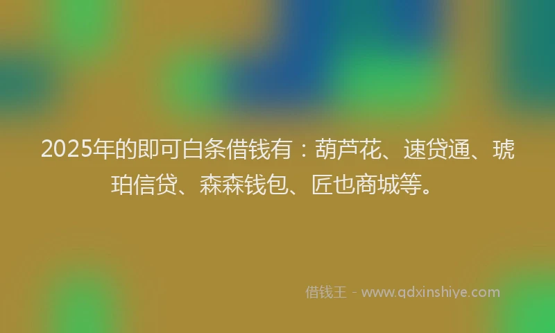 2025年的即可白条借钱有：葫芦花、速贷通、琥珀信贷、森森钱包、匠也商城等。
