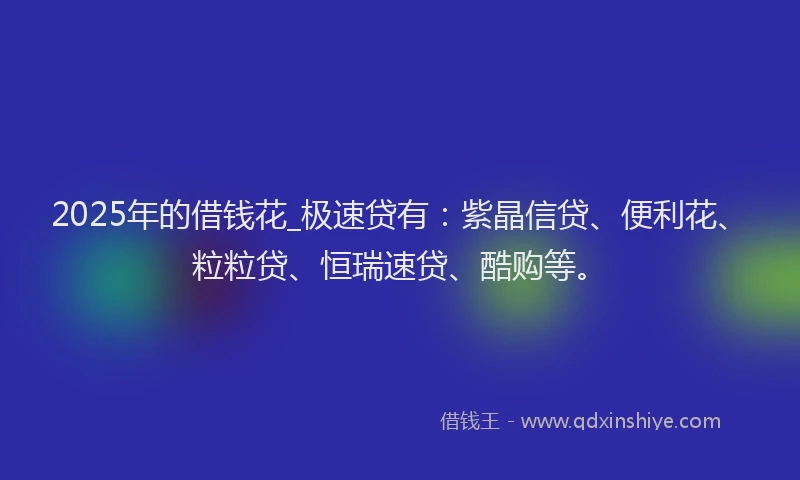 2025年的借钱花_极速贷有：紫晶信贷、便利花、粒粒贷、恒瑞速贷、酷购等。