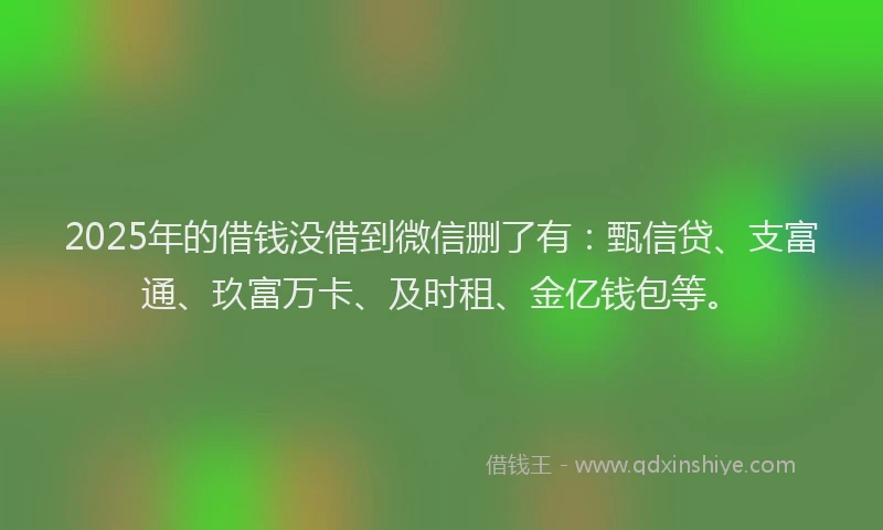 2025年的借钱没借到微信删了有：甄信贷、支富通、玖富万卡、及时租、金亿钱包等。