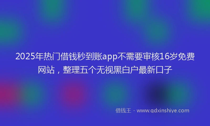 2025年热门借钱秒到账app不需要审核16岁免费网站，整理五个无视黑白户最新口子