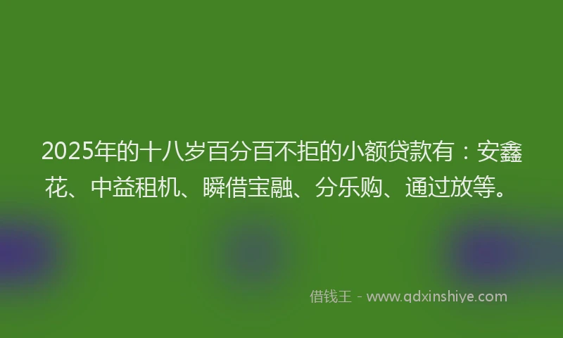 2025年的十八岁百分百不拒的小额贷款有：安鑫花、中益租机、瞬借宝融、分乐购、通过放等。