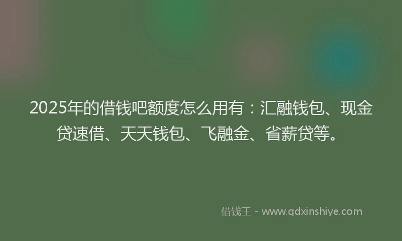 2025年的借钱吧额度怎么用有：汇融钱包、现金贷速借、天天钱包、飞融金、省薪贷等。