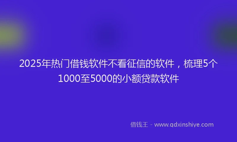 2025年热门借钱软件不看征信的软件，梳理5个1000至5000的小额贷款软件
