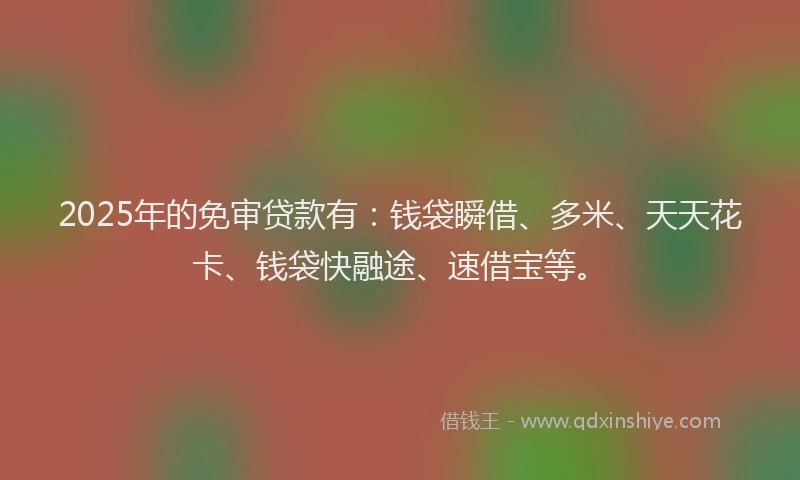 2025年的免审贷款有：钱袋瞬借、多米、天天花卡、钱袋快融途、速借宝等。