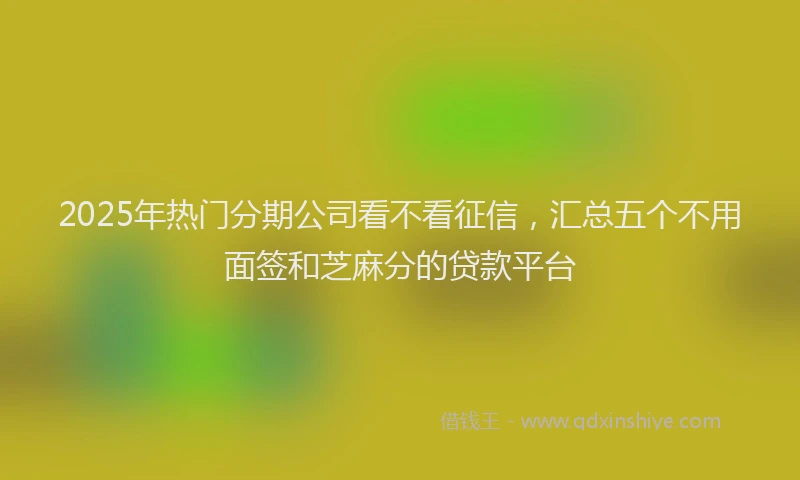 2025年热门分期公司看不看征信，汇总五个不用面签和芝麻分的贷款平台