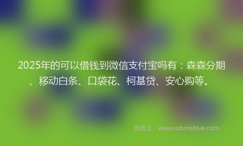 2025年的可以借钱到微信支付宝吗有：森森分期、移动白条、口袋花、柯基贷、安心购等。
