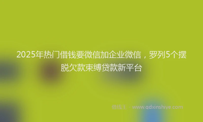 2025年热门借钱要微信加企业微信，罗列5个摆脱欠款束缚贷款新平台