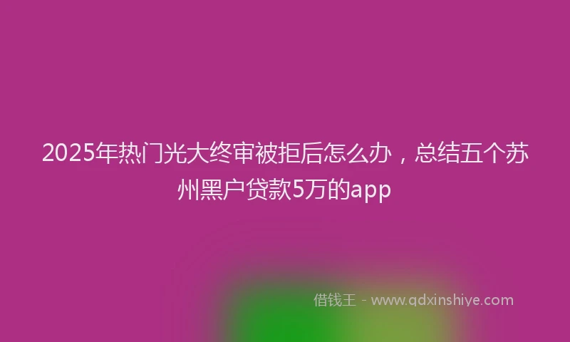 2025年热门光大终审被拒后怎么办，总结五个苏州黑户贷款5万的app