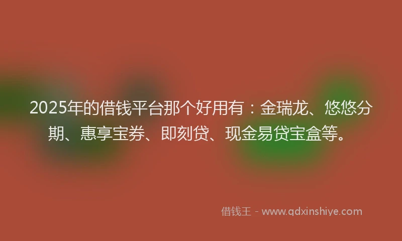 2025年的借钱平台那个好用有：金瑞龙、悠悠分期、惠享宝券、即刻贷、现金易贷宝盒等。