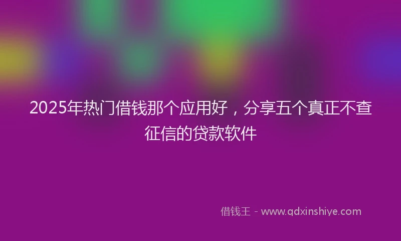 2025年热门借钱那个应用好，分享五个真正不查征信的贷款软件