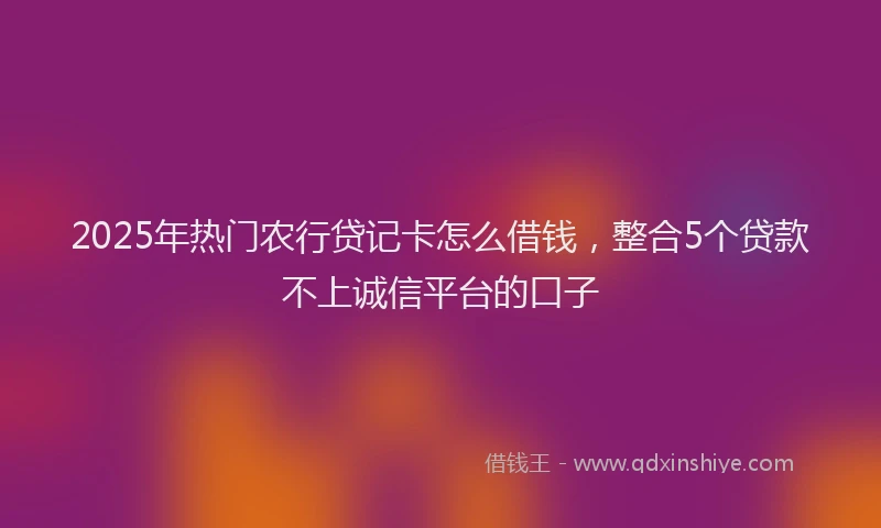 2025年热门农行贷记卡怎么借钱，整合5个贷款不上诚信平台的口子