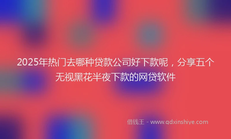 2025年热门去哪种贷款公司好下款呢，分享五个无视黑花半夜下款的网贷软件