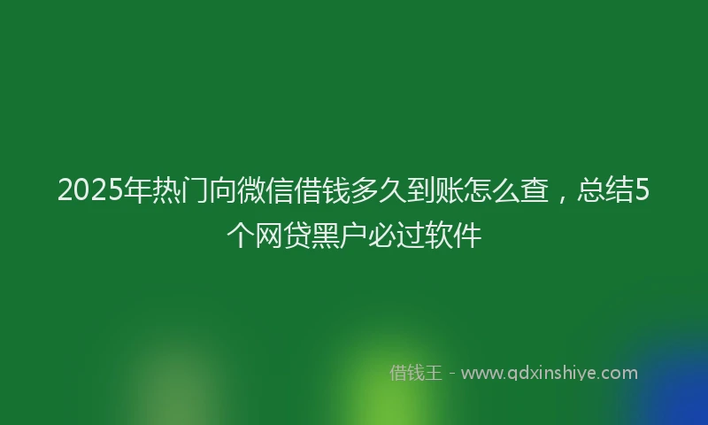2025年热门向微信借钱多久到账怎么查，总结5个网贷黑户必过软件