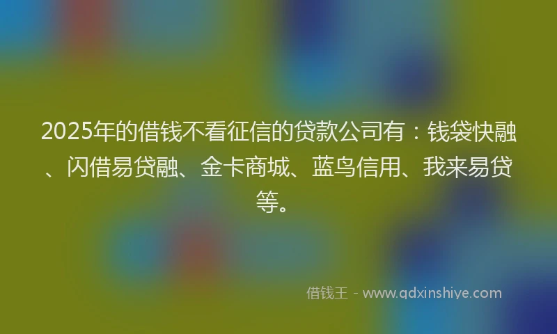 2025年的借钱不看征信的贷款公司有：钱袋快融、闪借易贷融、金卡商城、蓝鸟信用、我来易贷等。