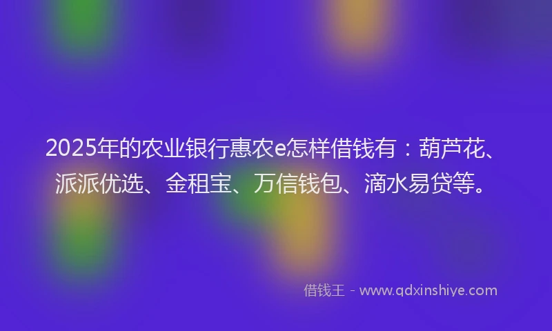 2025年的农业银行惠农e怎样借钱有：葫芦花、派派优选、金租宝、万信钱包、滴水易贷等。