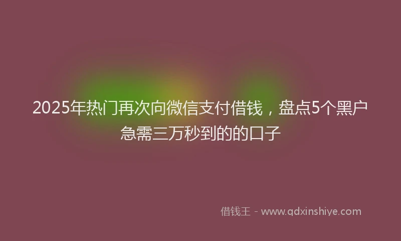 2025年热门再次向微信支付借钱，盘点5个黑户急需三万秒到的的口子
