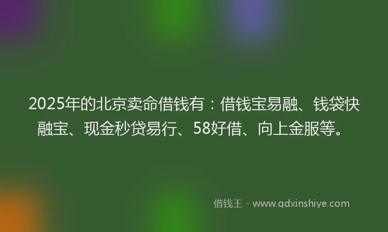 2025年的北京卖命借钱有：借钱宝易融、钱袋快融宝、现金秒贷易行、58好借、向上金服等。