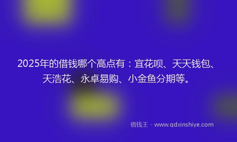 2025年的借钱哪个高点有：宜花呗、天天钱包、天浩花、永卓易购、小金鱼分期等。