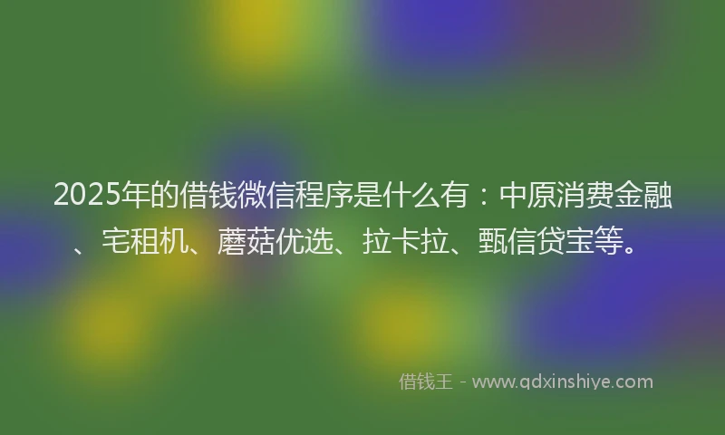 2025年的借钱微信程序是什么有：中原消费金融、宅租机、蘑菇优选、拉卡拉、甄信贷宝等。