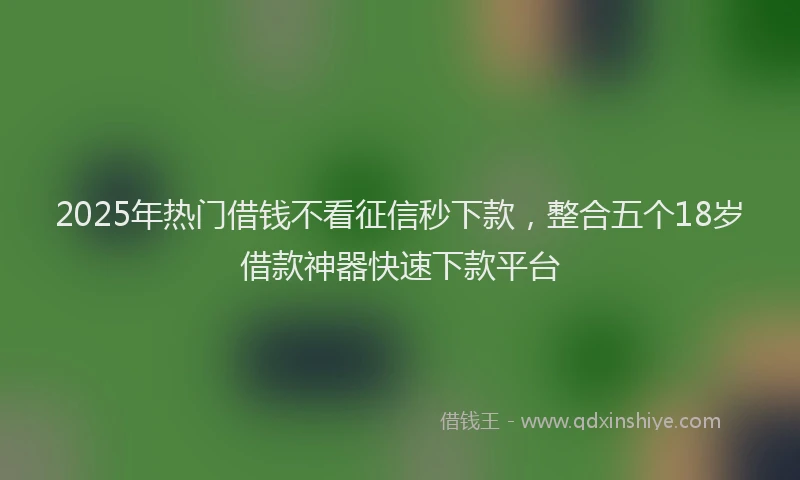 2025年热门借钱不看征信秒下款，整合五个18岁借款神器快速下款平台