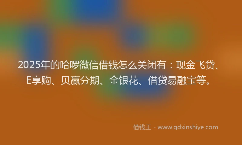 2025年的哈啰微信借钱怎么关闭有：现金飞贷、E享购、贝赢分期、金银花、借贷易融宝等。