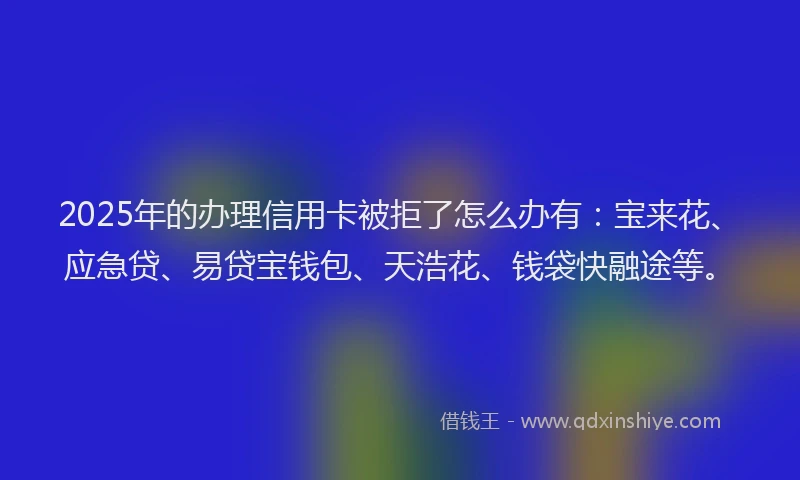 2025年的办理信用卡被拒了怎么办有：宝来花、应急贷、易贷宝钱包、天浩花、钱袋快融途等。
