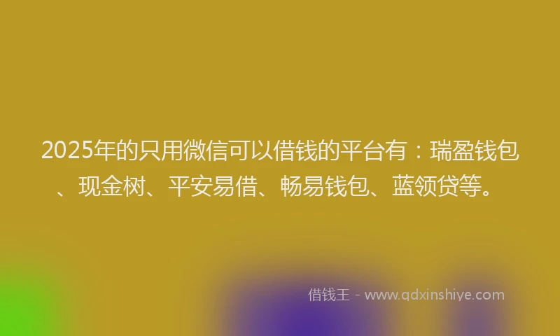 2025年的只用微信可以借钱的平台有：瑞盈钱包、现金树、平安易借、畅易钱包、蓝领贷等。