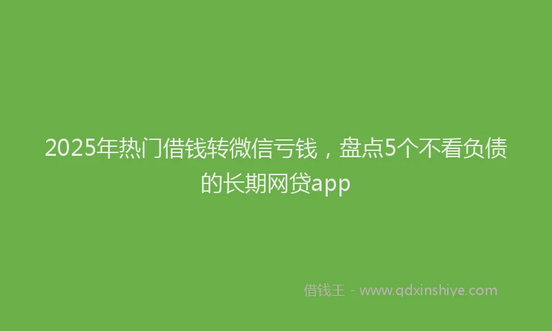 2025年热门借钱转微信亏钱，盘点5个不看负债的长期网贷app