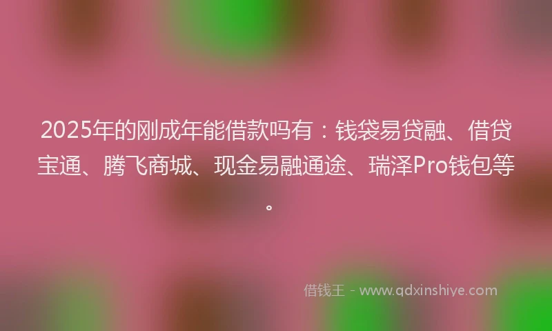 2025年的刚成年能借款吗有：钱袋易贷融、借贷宝通、腾飞商城、现金易融通途、瑞泽Pro钱包等。