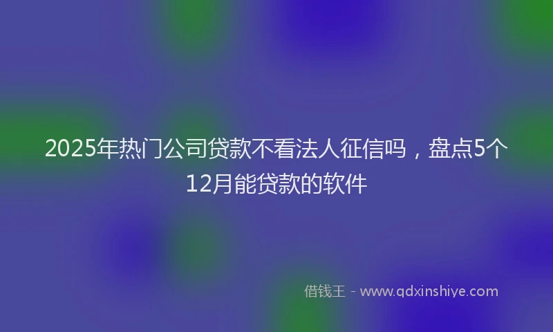 2025年热门公司贷款不看法人征信吗，盘点5个12月能贷款的软件