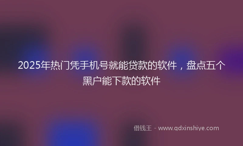 2025年热门凭手机号就能贷款的软件，盘点五个黑户能下款的软件