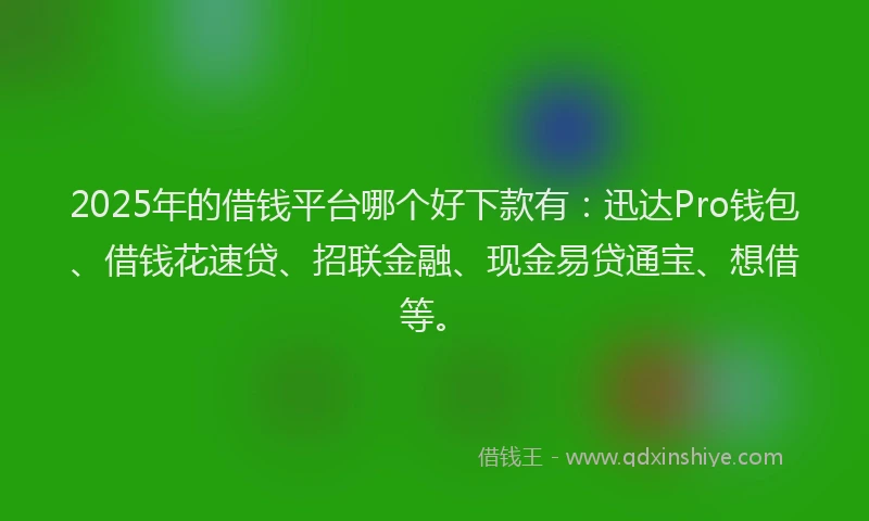 2025年的借钱平台哪个好下款有：迅达Pro钱包、借钱花速贷、招联金融、现金易贷通宝、想借等。