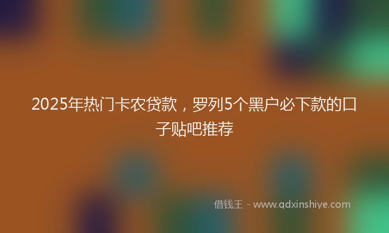 2025年热门卡农贷款，罗列5个黑户必下款的口子贴吧推荐