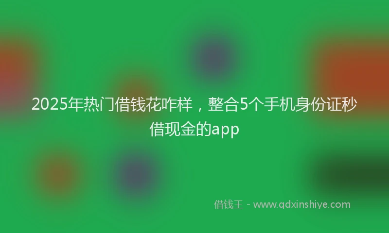 2025年热门借钱花咋样，整合5个手机身份证秒借现金的app