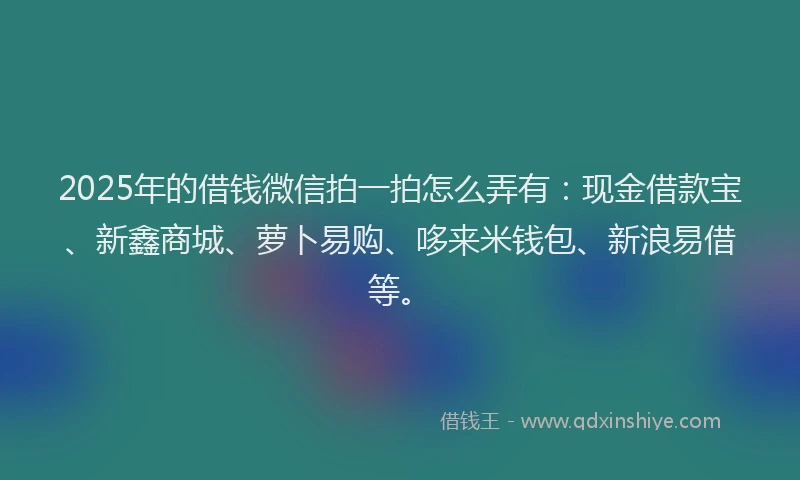 2025年的借钱微信拍一拍怎么弄有：现金借款宝、新鑫商城、萝卜易购、哆来米钱包、新浪易借等。