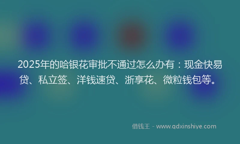 2025年的哈银花审批不通过怎么办有：现金快易贷、私立签、洋钱速贷、浙享花、微粒钱包等。