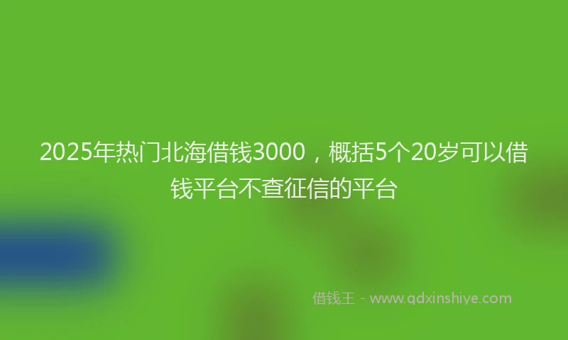 2025年热门北海借钱3000，概括5个20岁可以借钱平台不查征信的平台